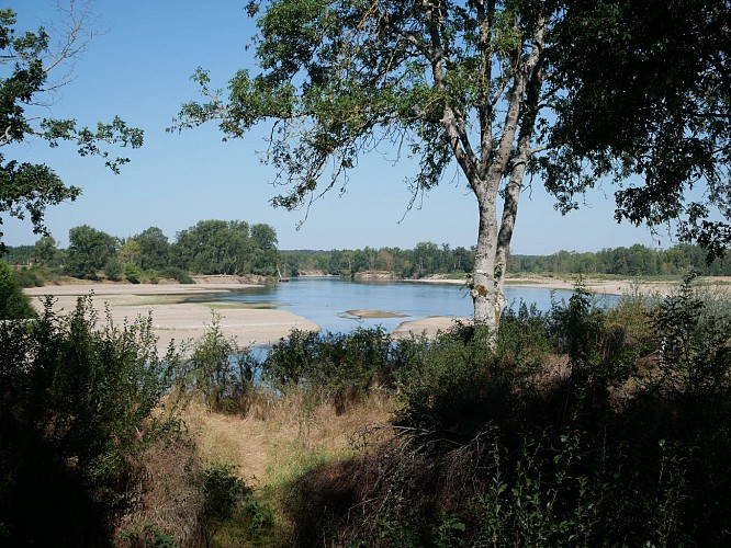 Sentier du Bec d'Allier 