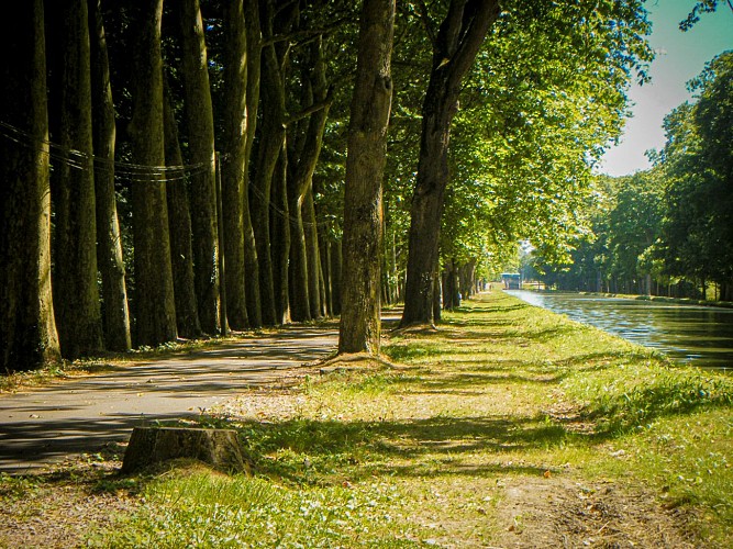 La véloroute Nevers-Le Guétin