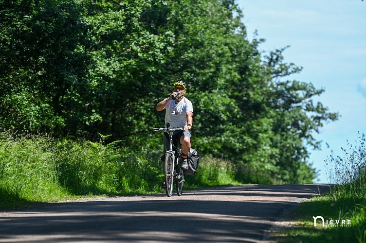 Cycliste_Itinerant_Foret_