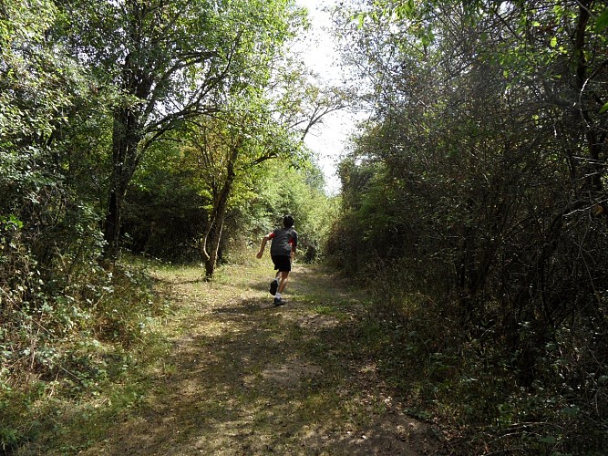 Sentier du Gour des Fontaines - Sougy-sur-Loire