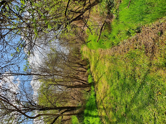 Sentier du Gour des Fontaines - Sougy-sur-Loire