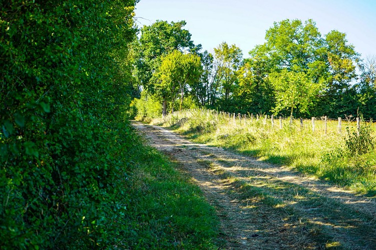 Chemin puisaye