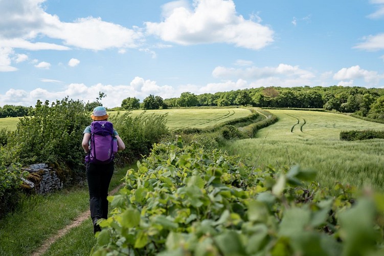 Randonnée fôret, vignobles et praires