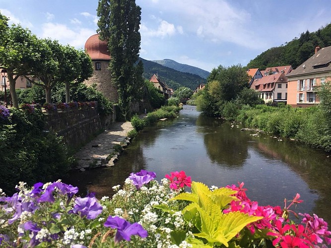 Vue de la Porte Sud de la Route des vins d'Alsace à Thann