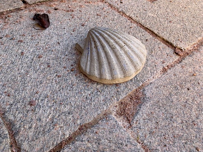 Coquille Saint-Jacques à la Collégiale Saint-Thiébaut
