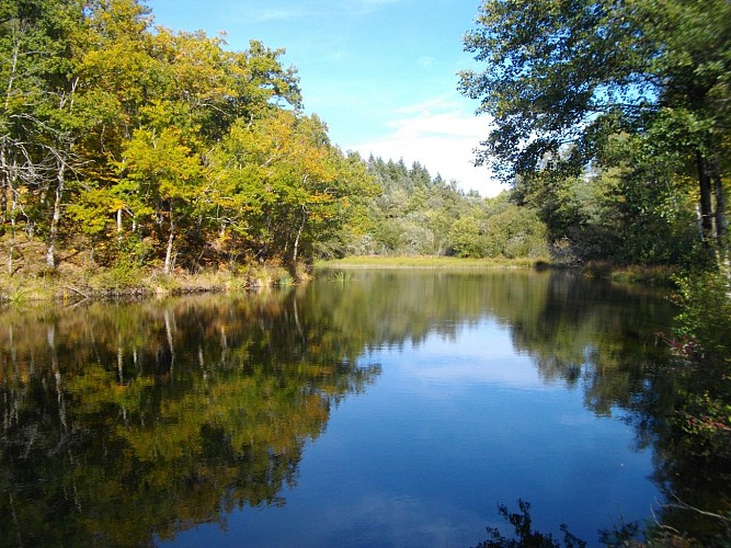 Etang_du_Maury