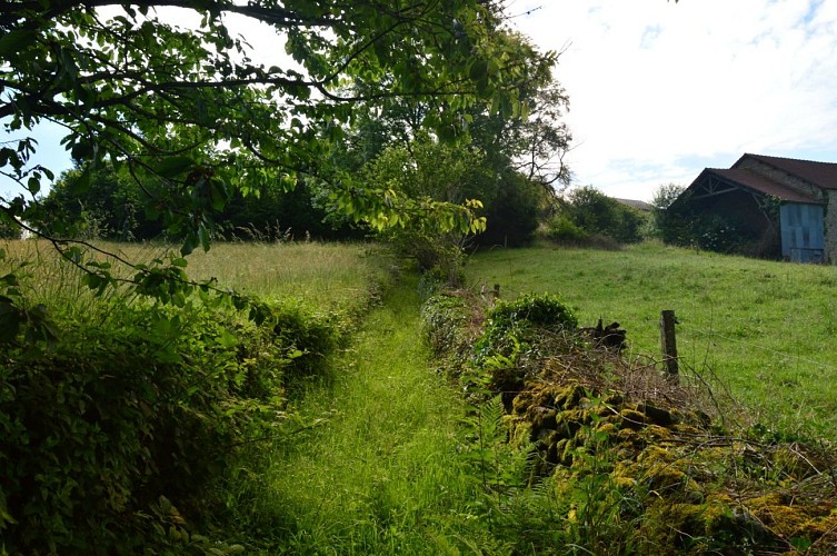 Circuit Pédestre N° 54 : Le chemin de l'Etang