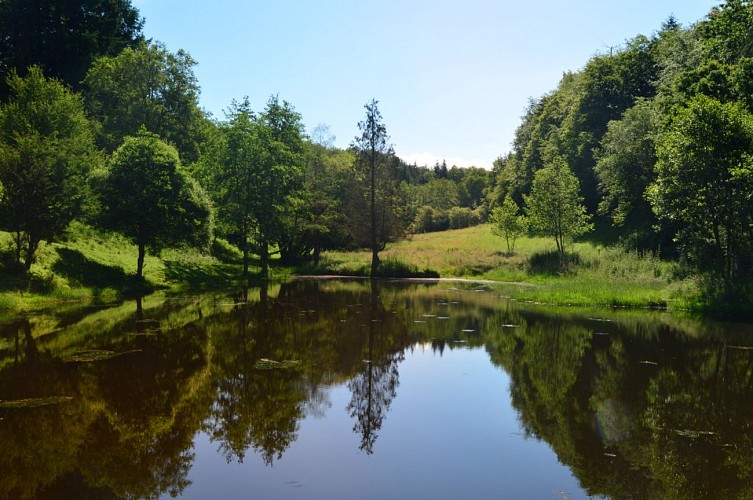 Circuit Pédestre N° 54 : Le chemin de l'Etang