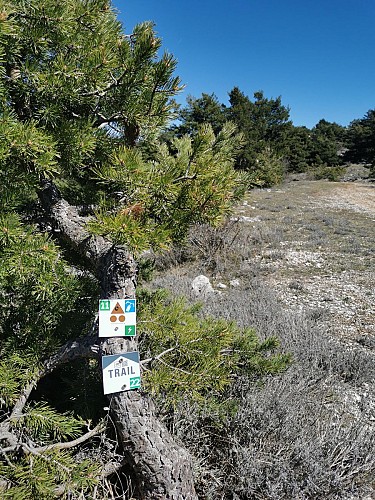 Circuit VTT n°11 L'essentielle_Gréolières