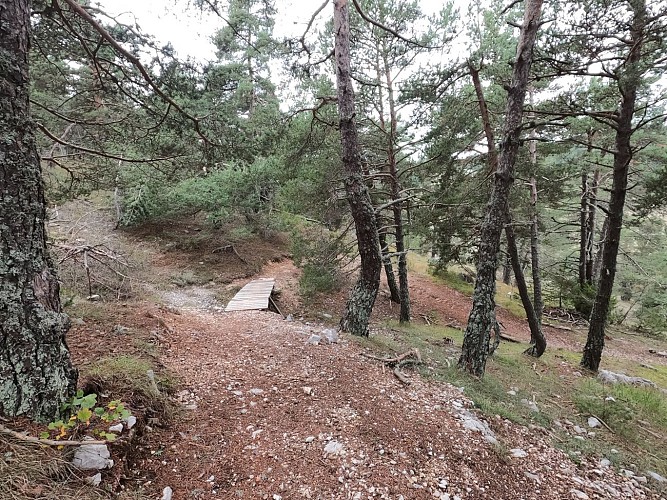 Circuit VTT n°13 le Grand tour_Gréolières