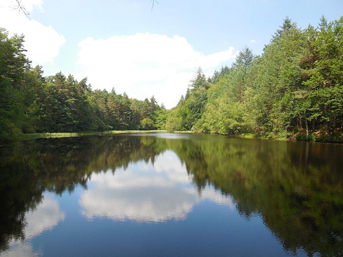 Etang_Trompette