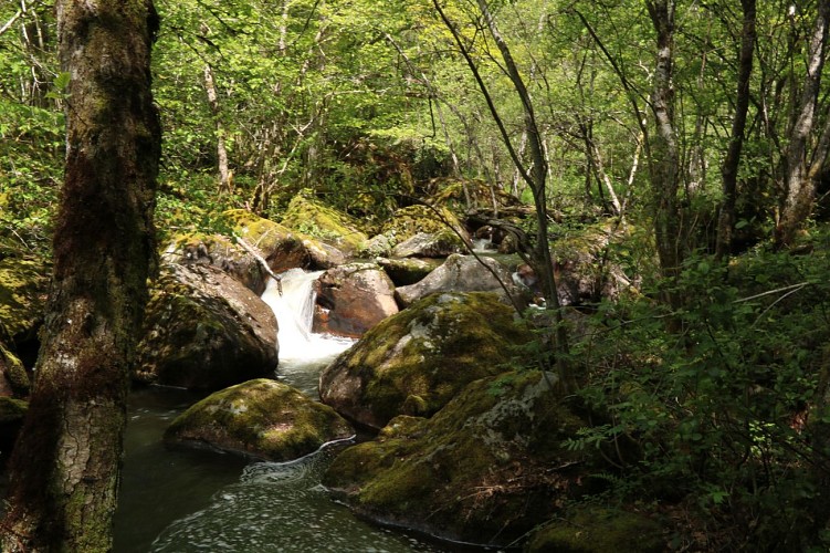 BARRAGE_TRIOUZOUNE_NEUVIC_PRINTEMPS21_OTCJT (1)