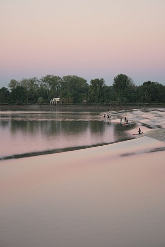 Copie de La Dordogne et le Mascaret Crédit Corentin Sauvaget