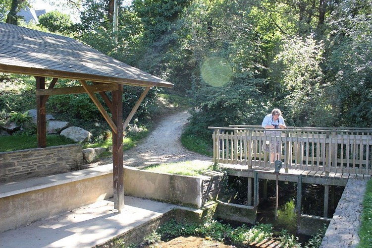 2020_PaysChateaugiuronTOURISME_ValleeRimon (17)