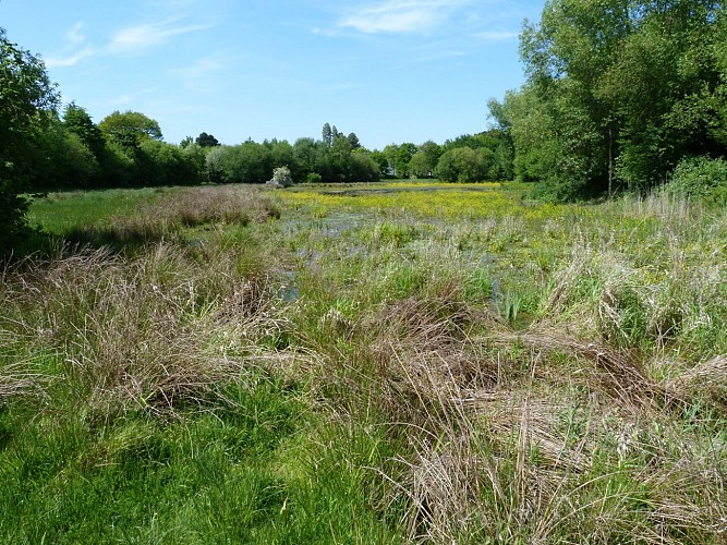 P1210586
