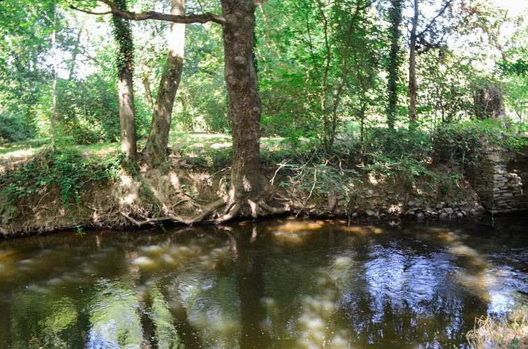 Ruisseau balade piré-chancé