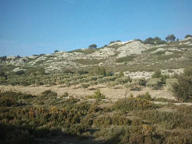 Petit massif du Pas du Cerf