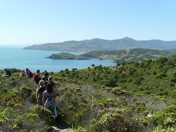 (E12-Sentier Littoral-GR 92) Argelès-sur-mer/Rosas