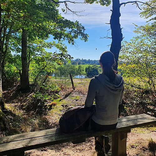Forêt domaniale de Dreuille