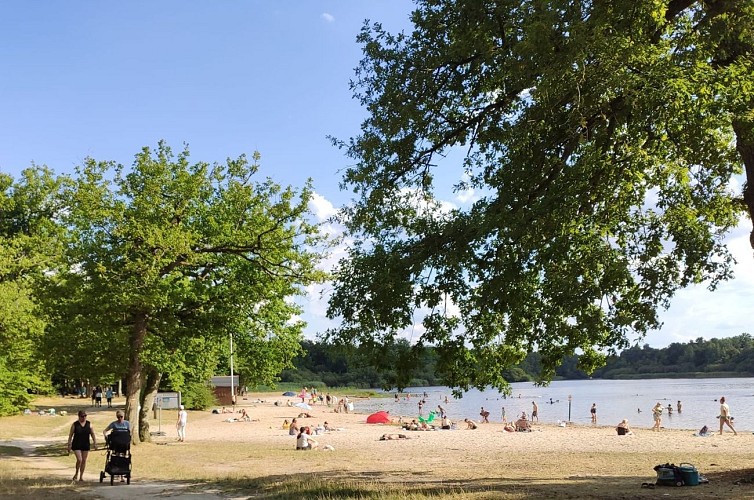 Etang des Bois
