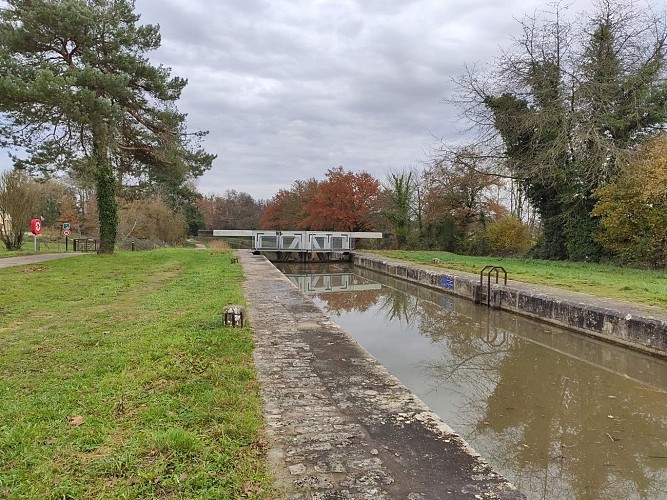 Canal d'Orléans à Coudroy