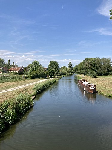 Belle de Grignon