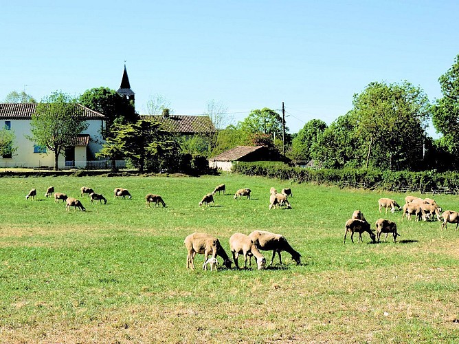 Hameau de Servanac