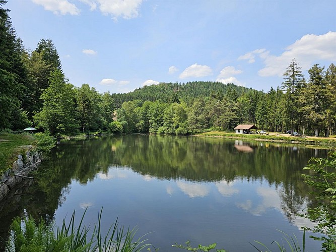 Circuit trail 7 - Les Hautes Mynes