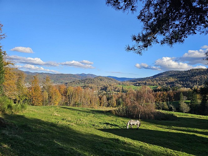 Circuit trail 7 - Les Hautes Mynes