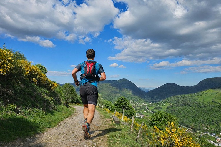 Circuit trail 6 - La Lochère