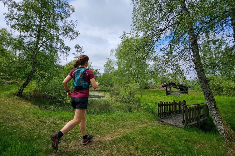 Trail route n° 12 - Le tour des Crêtes