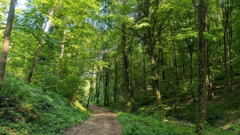 Moselle Attractivité