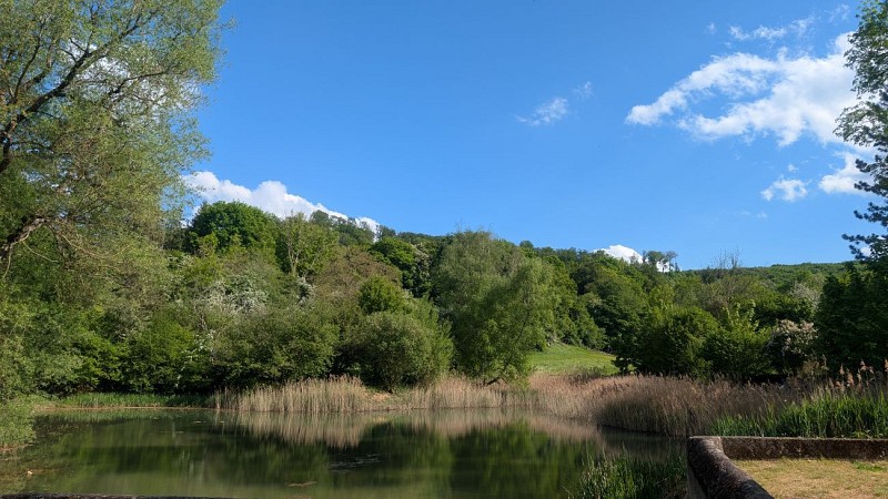 Moselle Attractivité