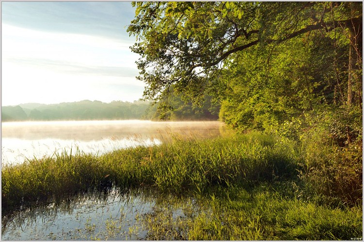 Paysage de Puisaye