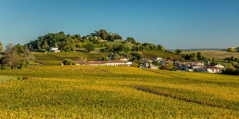 Le Tertre de Fronsac crédit Parinaud Serge (1)