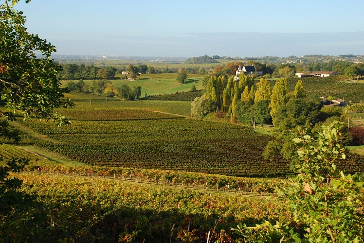 ©Tourisme Fronsadais-Phred-150