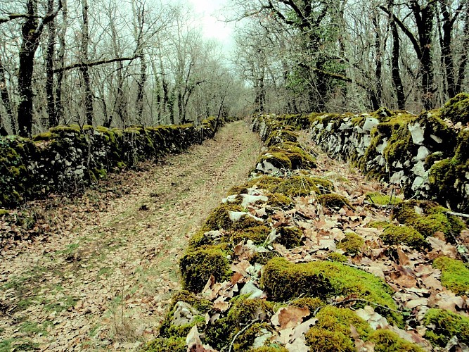 Sentier entre Montpalach et Raynal