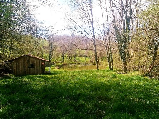 Sentier des Moulins_Saint-Denis-sur-Coise