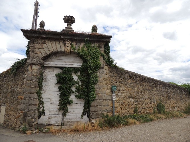 4770480 Rando gourmande " Au cœur des vignobles de Millery "