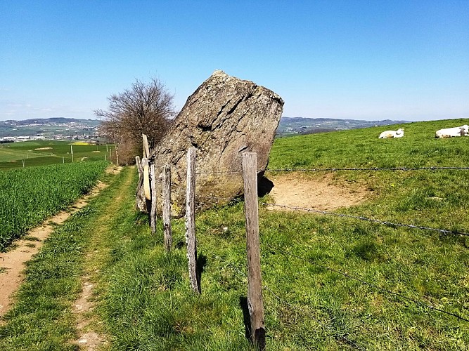 Sentier du But de Samson_Saint-Denis-sur-Coise