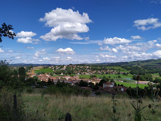 Circuit Entre monts et coteaux_Savigny
