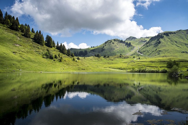 Itinéraire pédestre : Le Lac de Nyon depuis le Col de Joux Plane_Verchaix