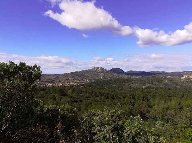 Vue sur les Alpilles