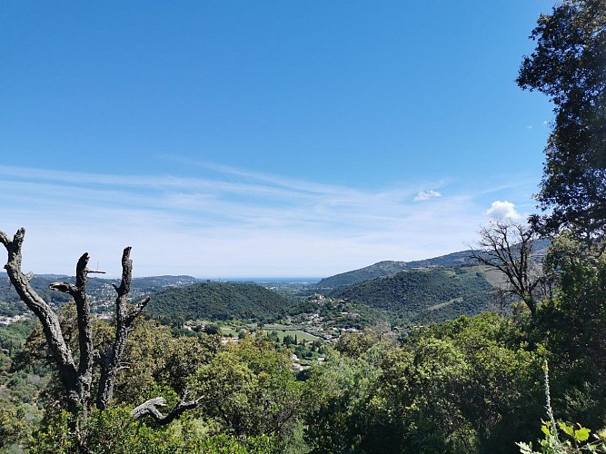 Circuit de Peygros_Auribeau-sur-Siagne