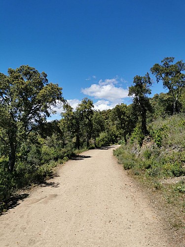 Circuit de Peygros_Auribeau-sur-Siagne