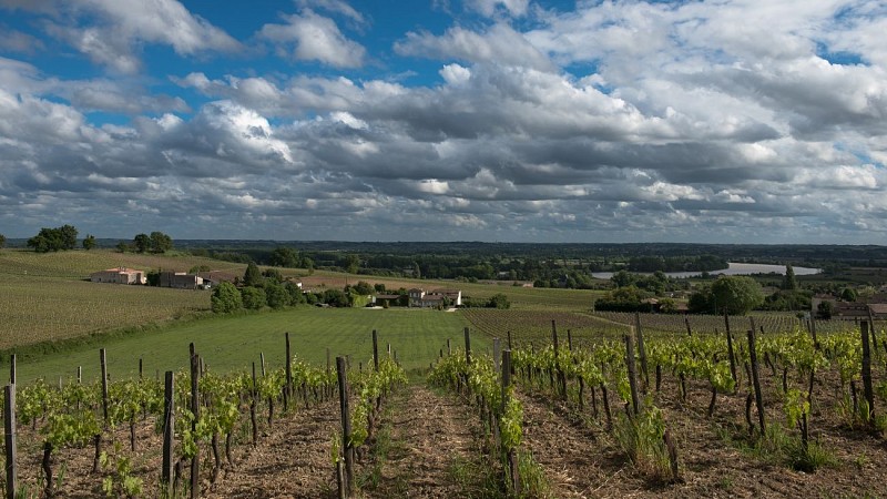 ©Tourisme Fronsadais-Phred-284