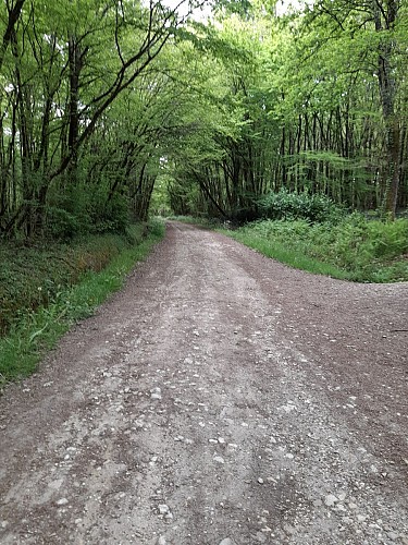 20210421_110707