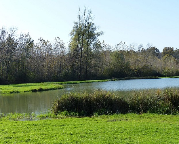 Natura 2000 bis2