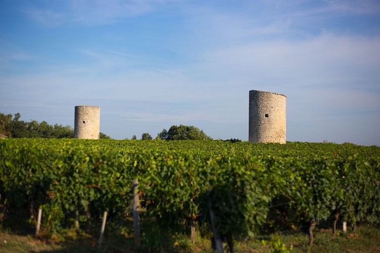 Les moulins Crédit David Remazeilles
