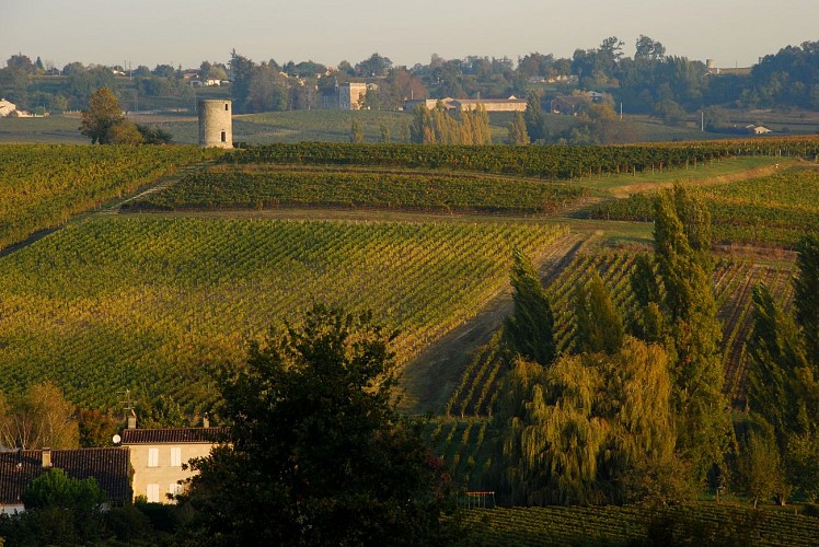 ©Tourisme Fronsadais-Phred-152